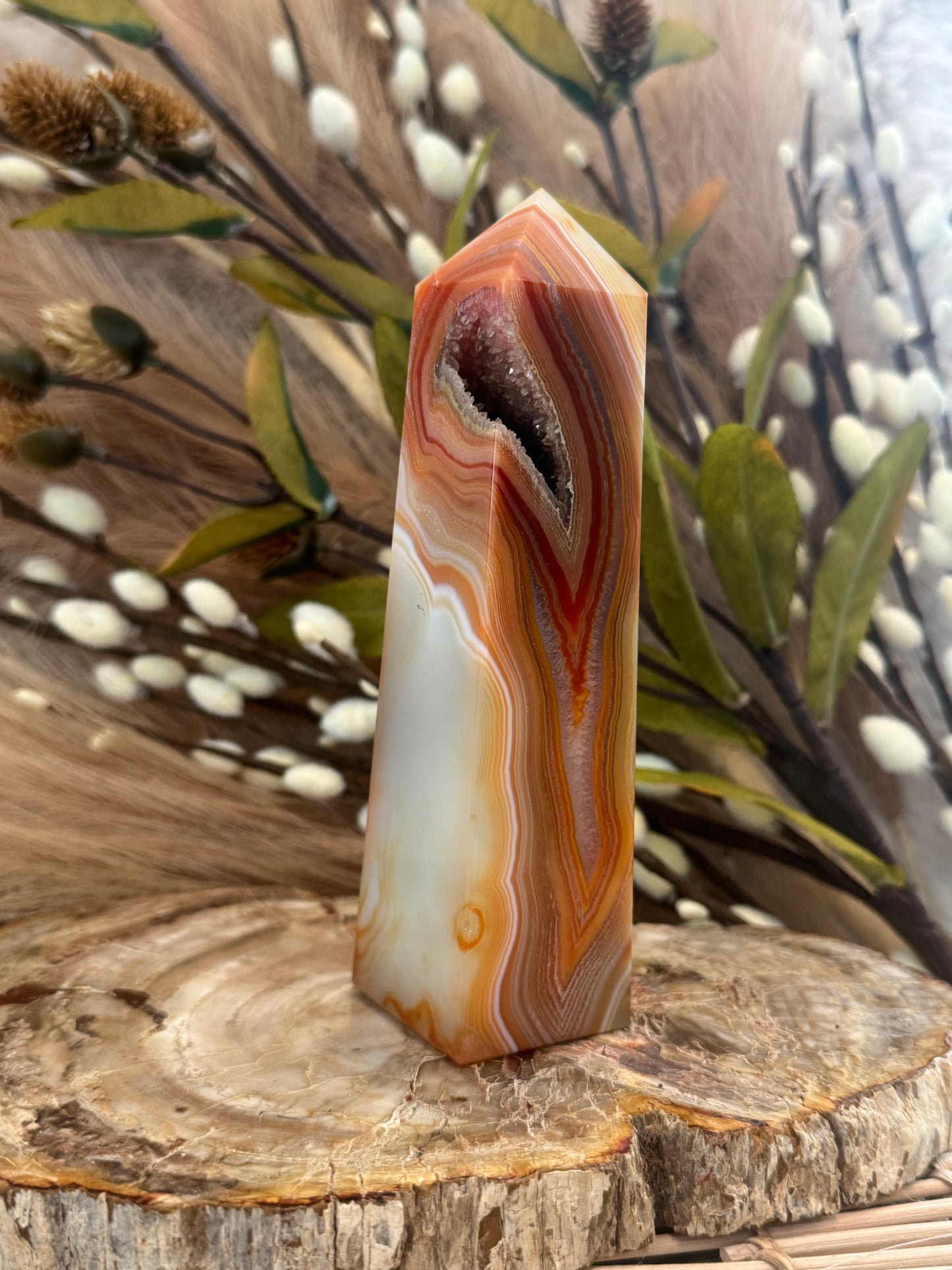 Carnelian Moss Agate Druzy Tower
