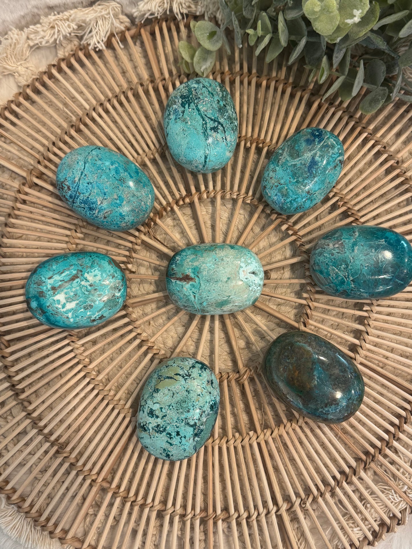 Chrysocolla with Turquoise Palmstones