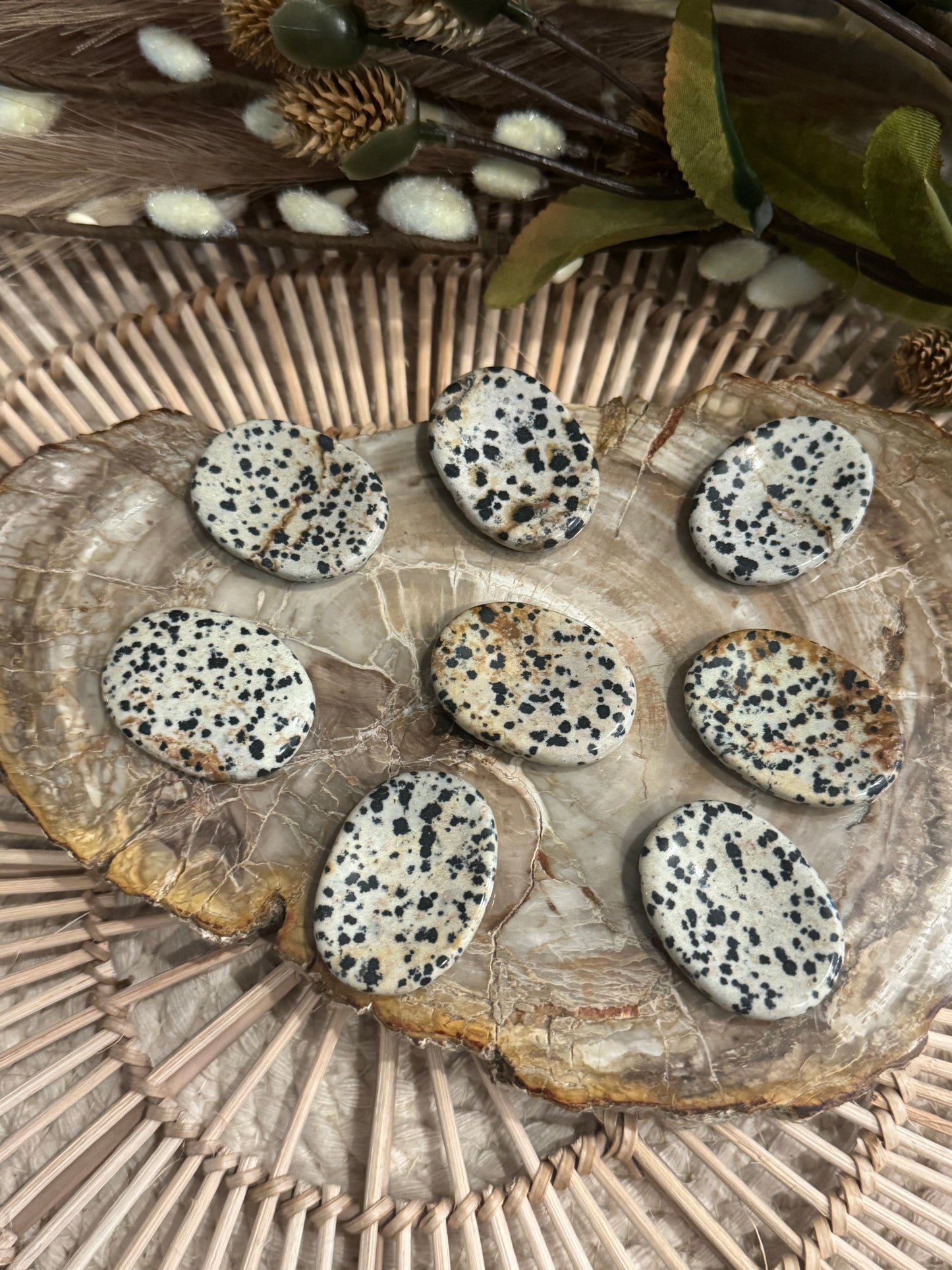 Dalmatian Jasper