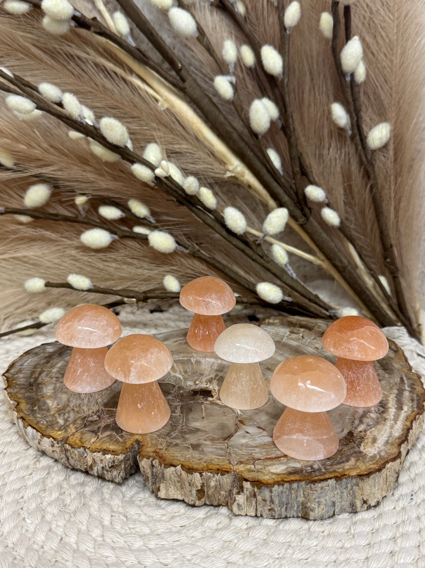 Peach Selenite Mushrooms