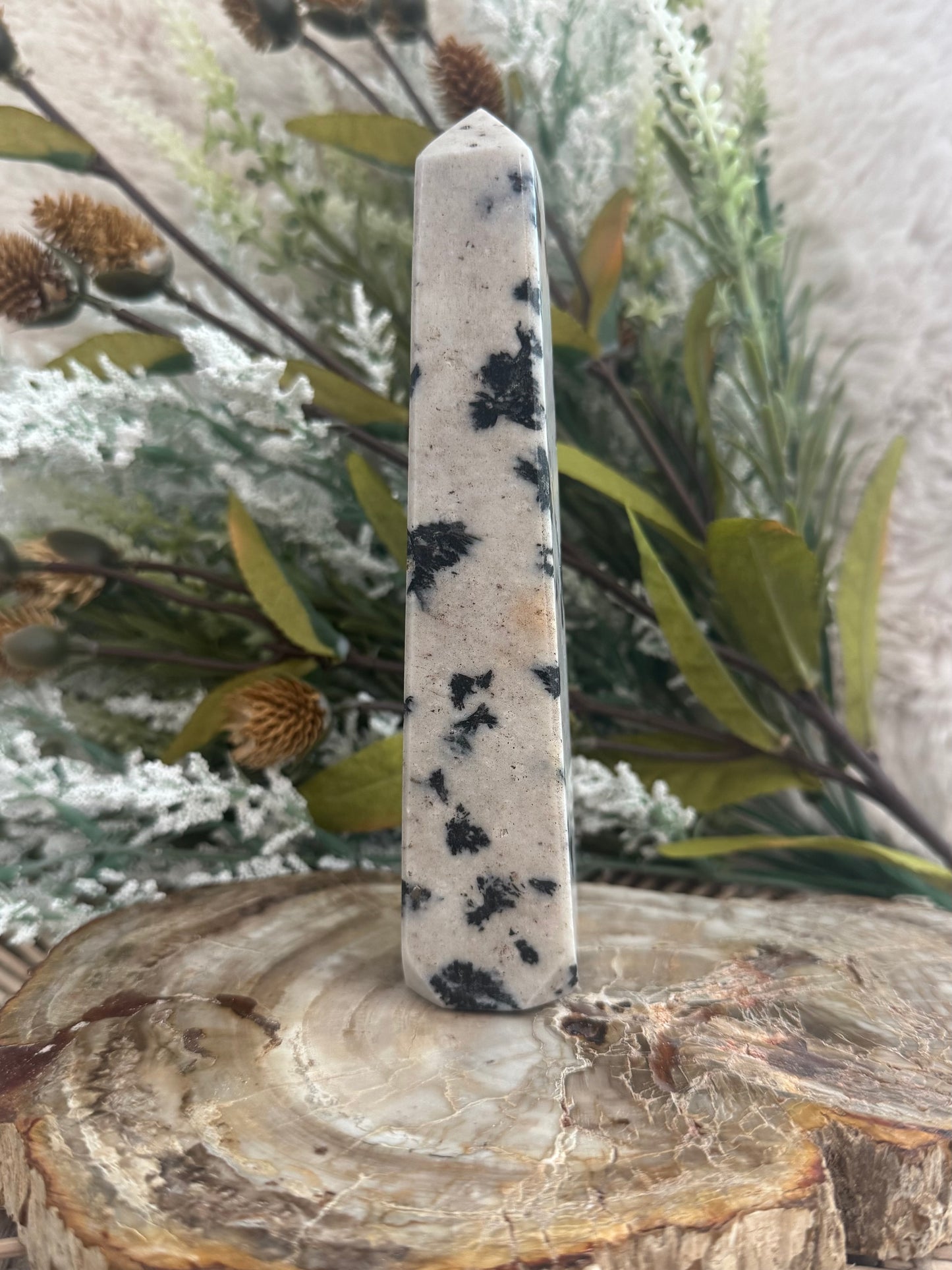 Dalmatian Jasper