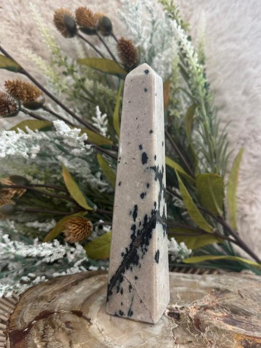 Dalmatian Jasper