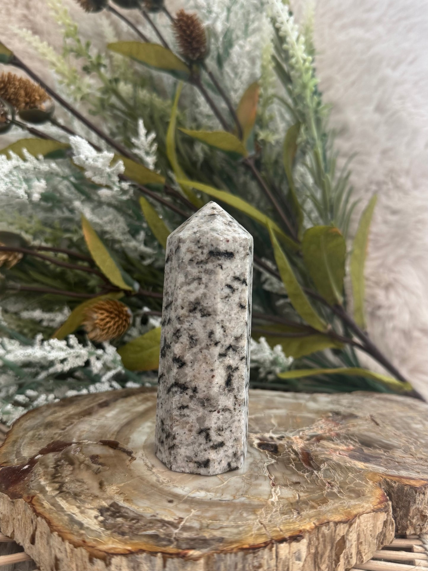 Dalmatian Jasper