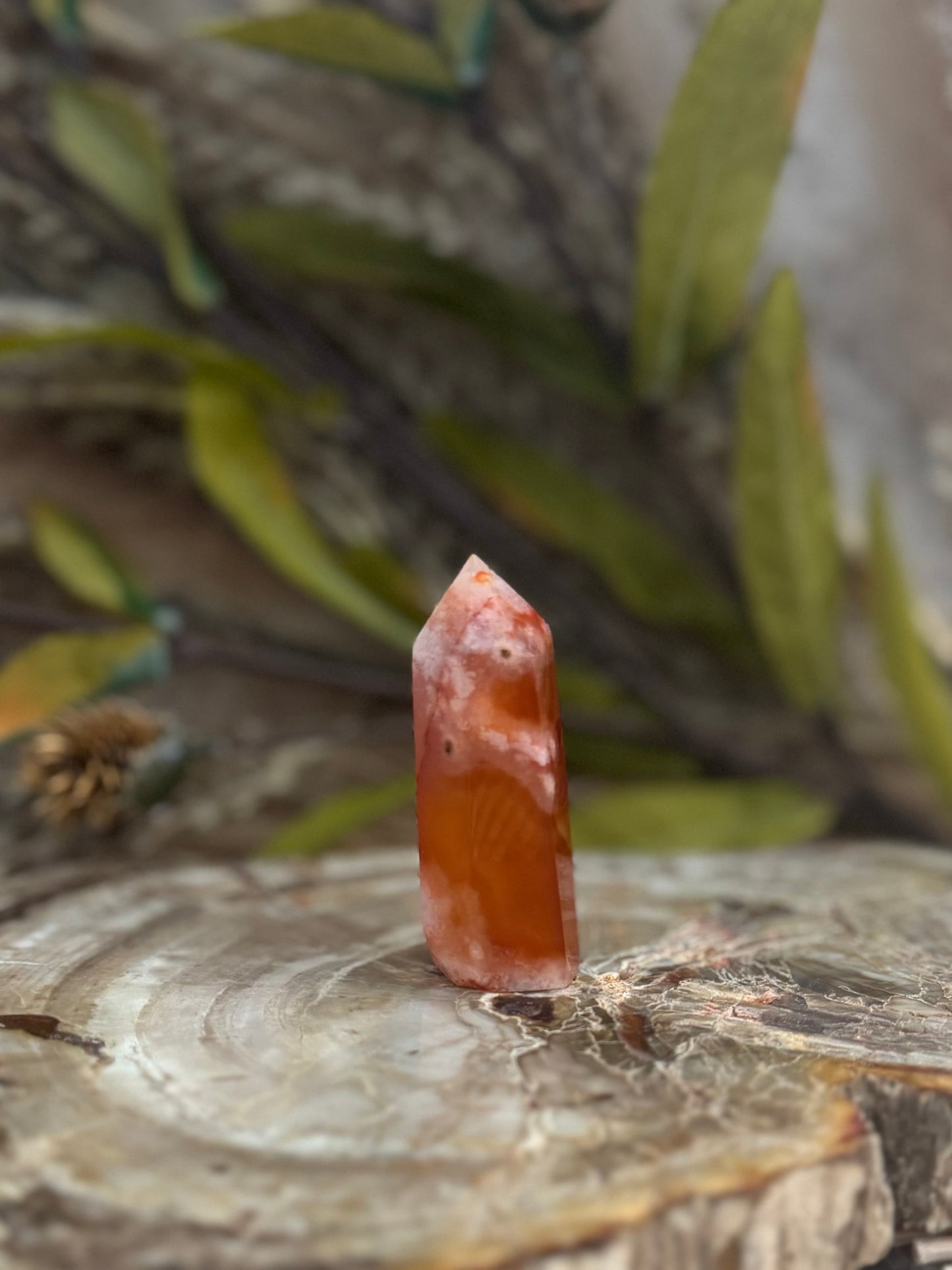 Carnelian Flower Agate