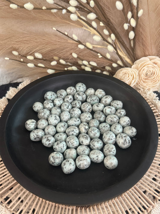 Kiwi Jasper
