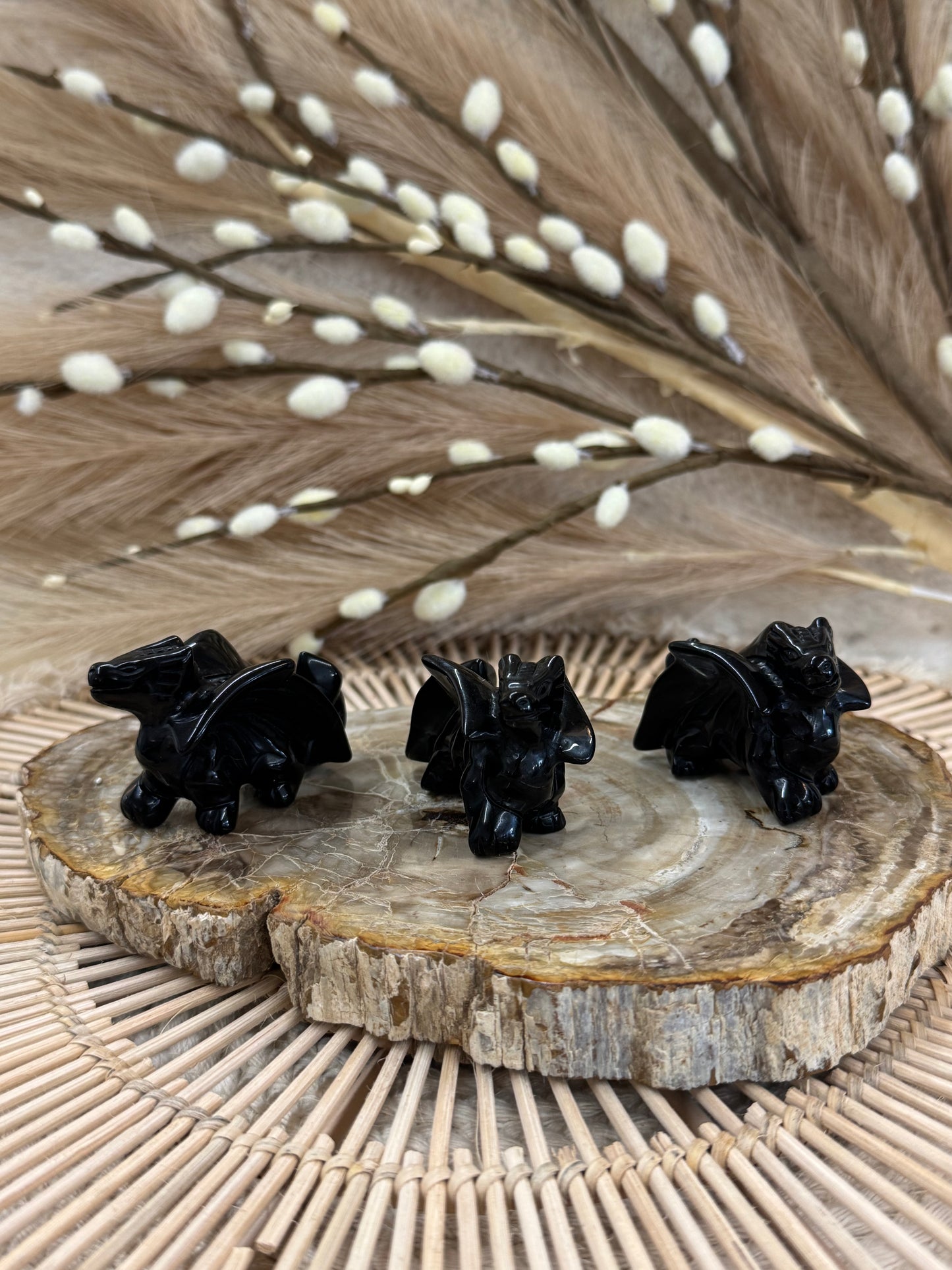 Obsidian Dragon