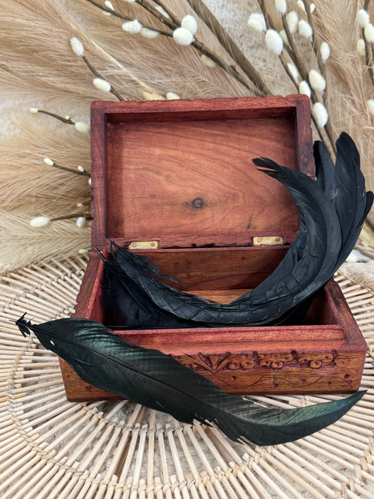 Premium Black Feather