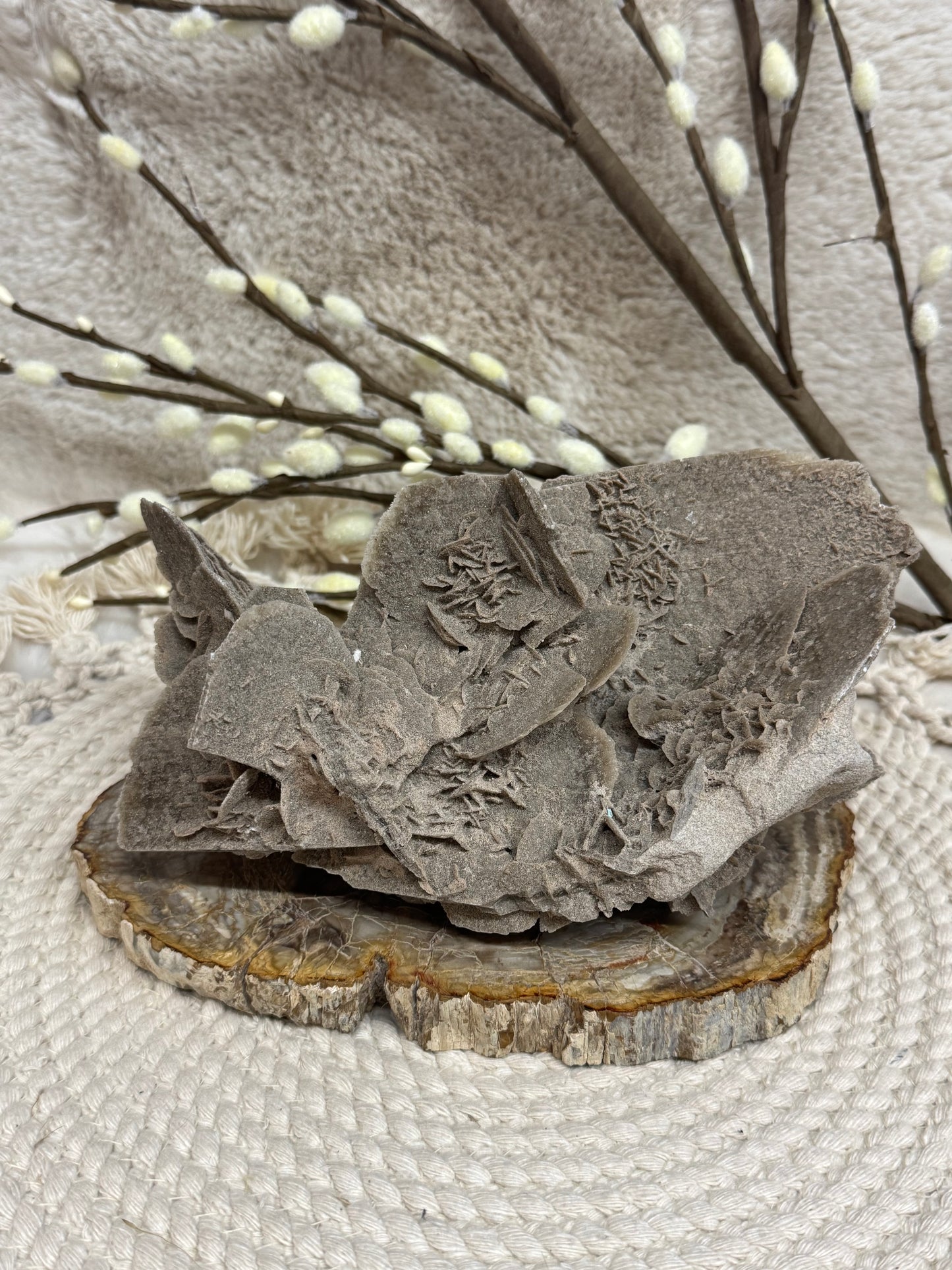 Elephant Ear Selenite