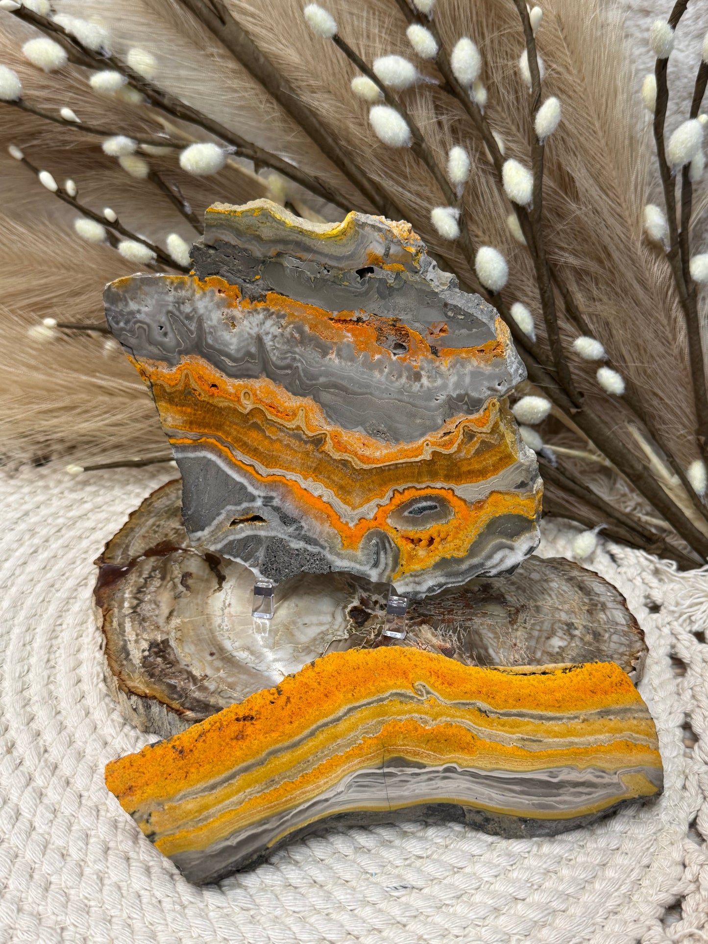 Bumble Bee Jasper Slabs