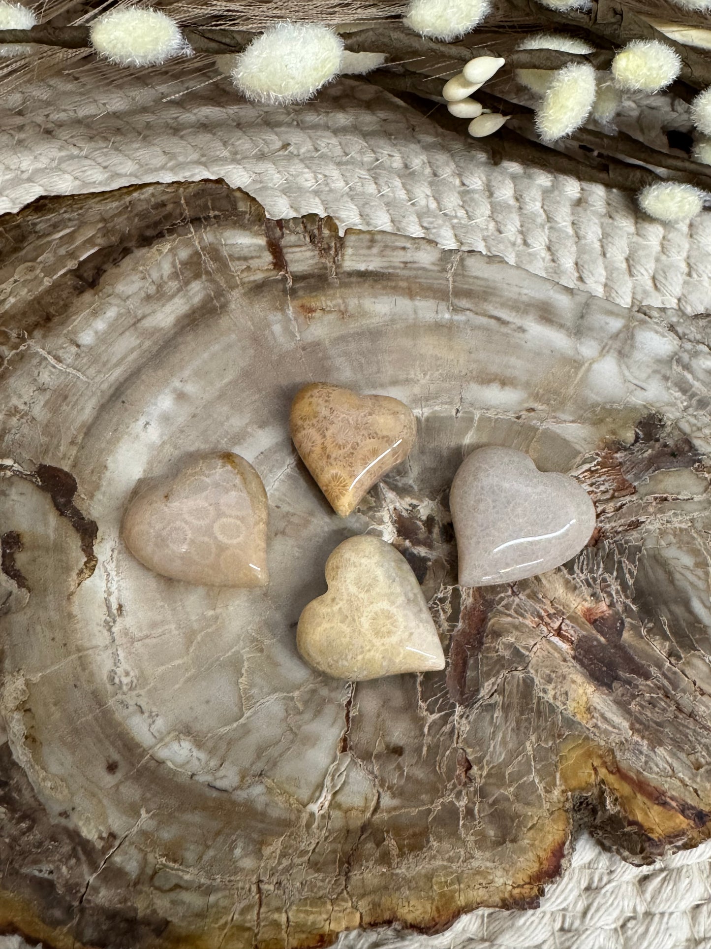Fossil Coral Hearts (Coral Jade)