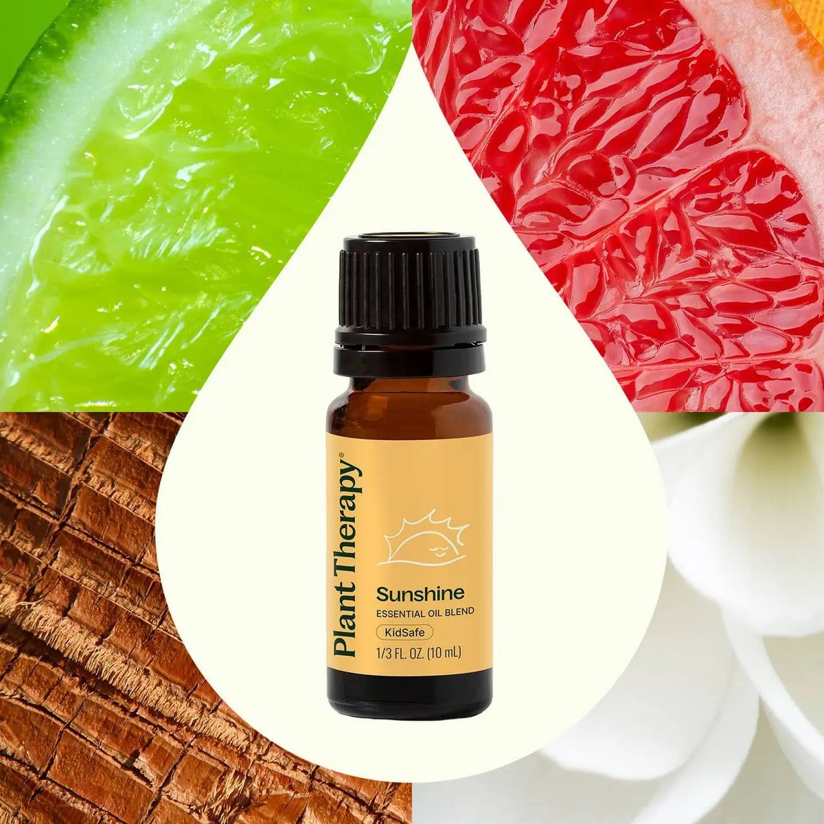 Plant Therapy Essential Oils
