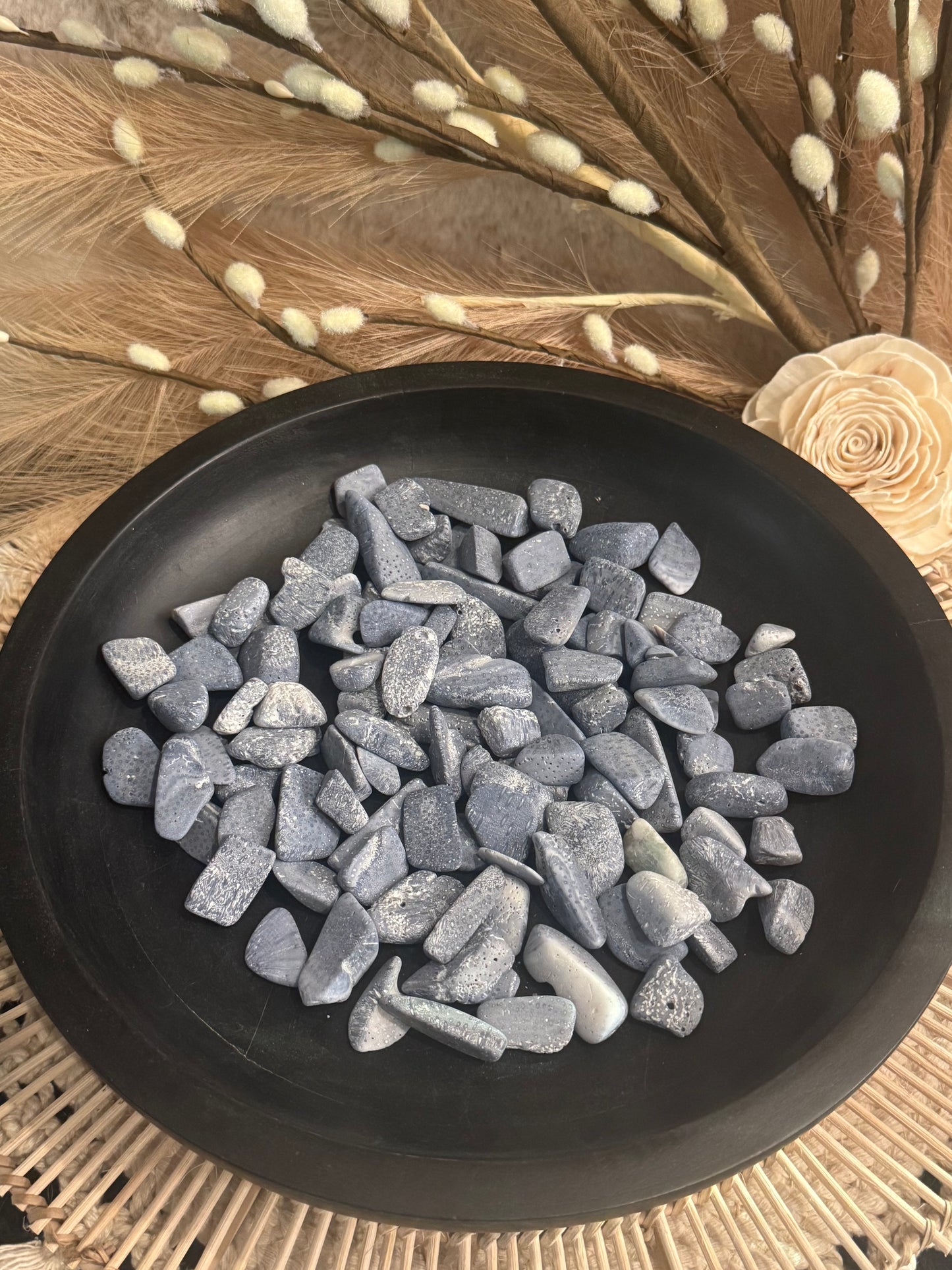 Blue Coral