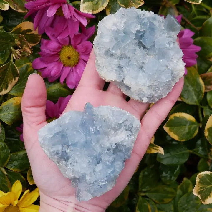 Celestite Druzy Clusters