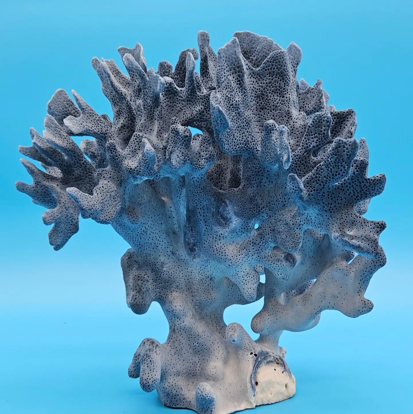 Coral
