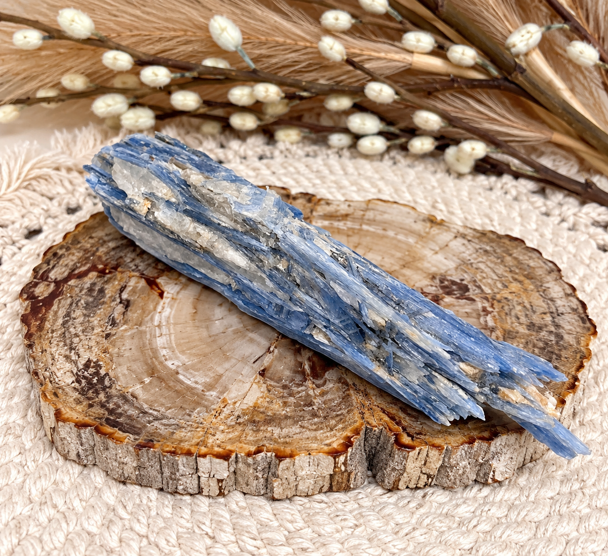Blue Kyanite Raw Chunks