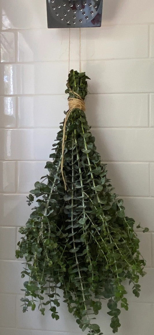 Fresh Eucalyptus Shower Bundle