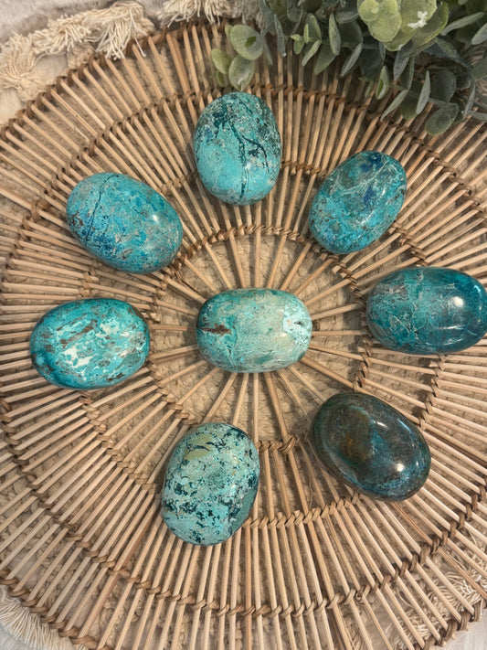 Chrysocolla with Turquoise Palmstones