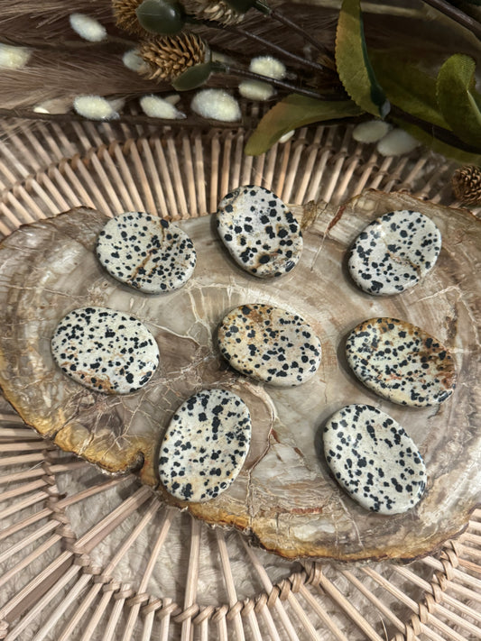 Dalmatian Jasper