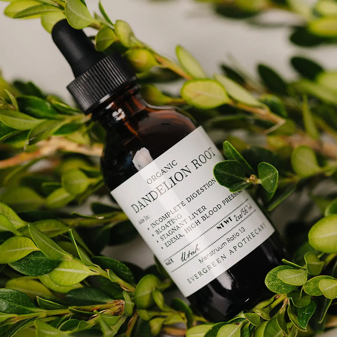 Dandelion Root Tincture