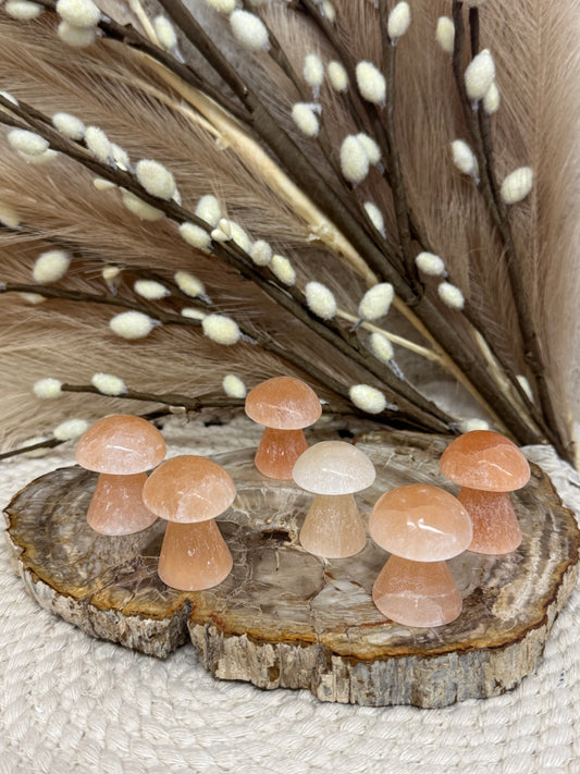 Peach Selenite Mushrooms
