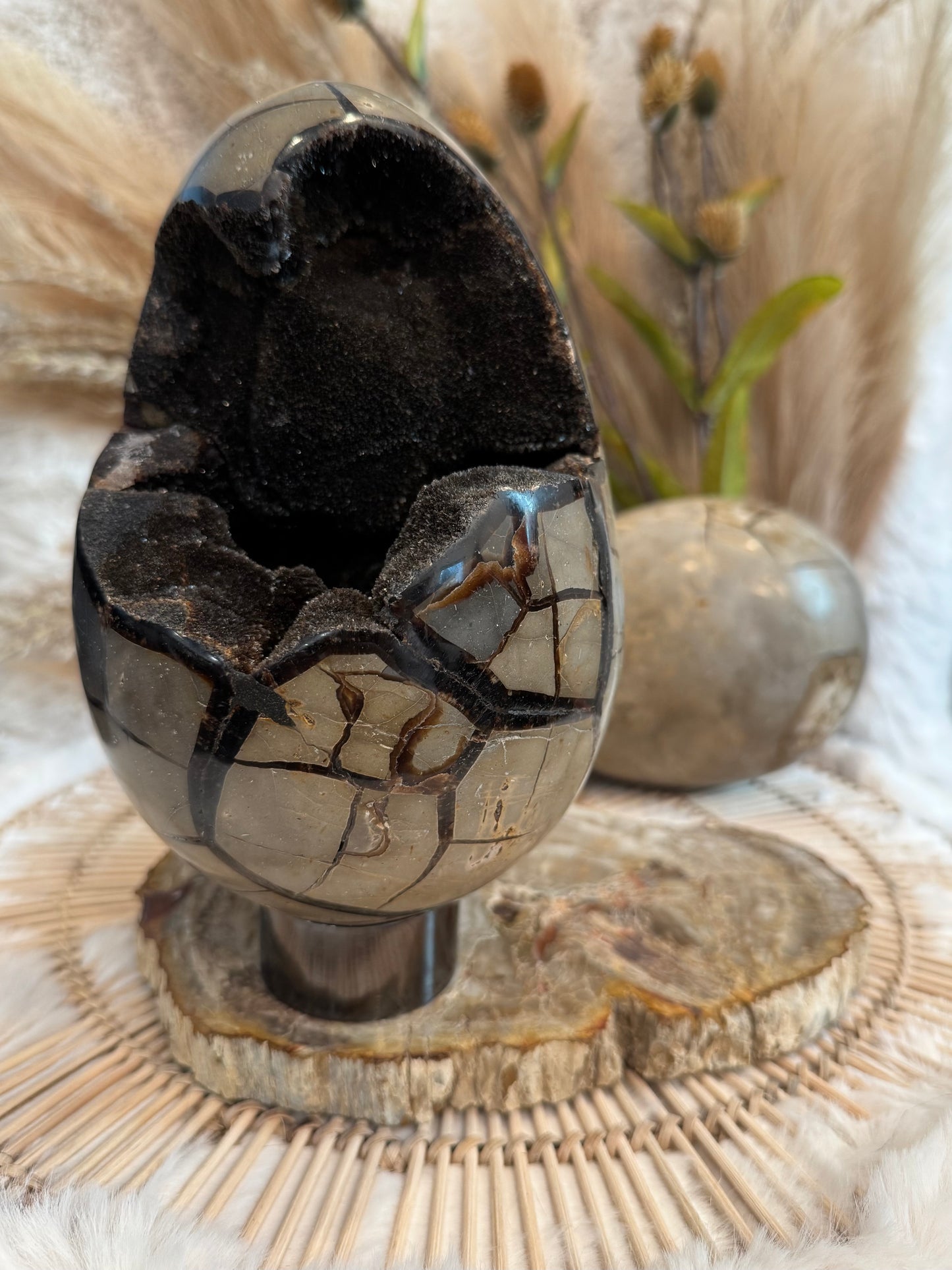 Septarian Egg