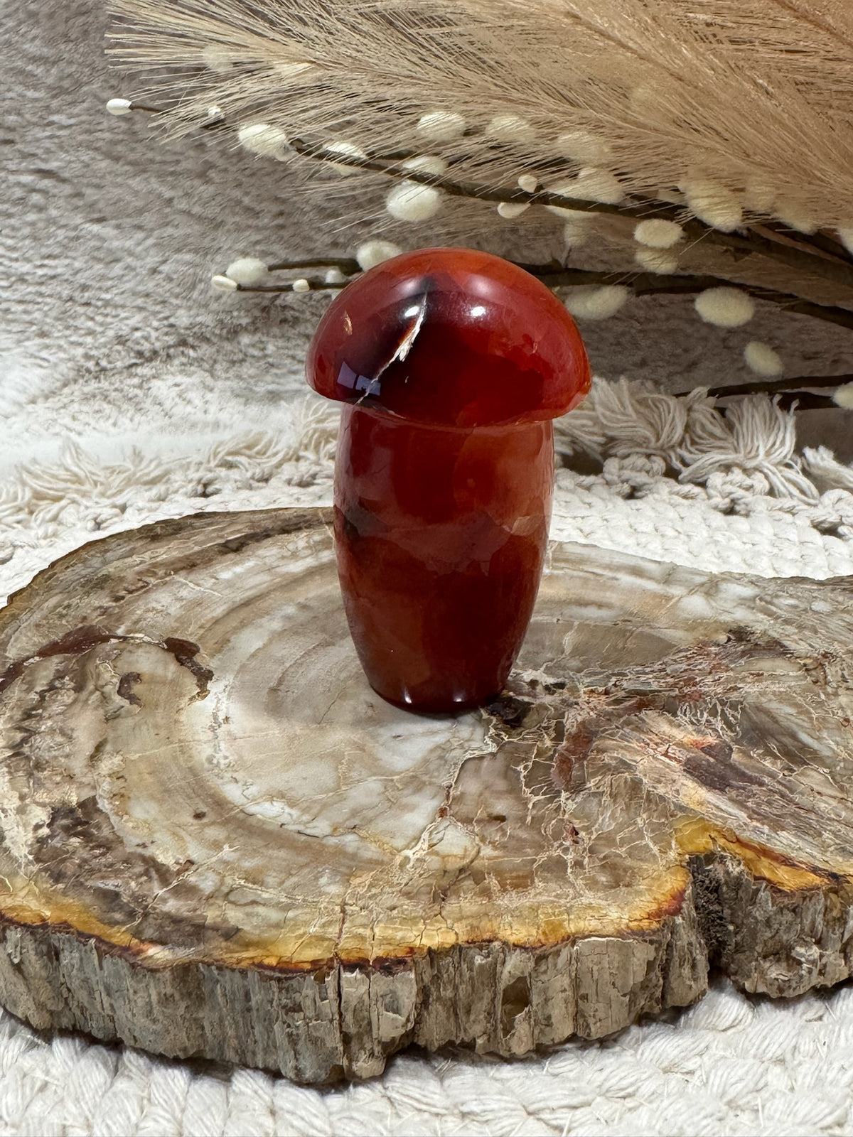 Carnelian Mushroom