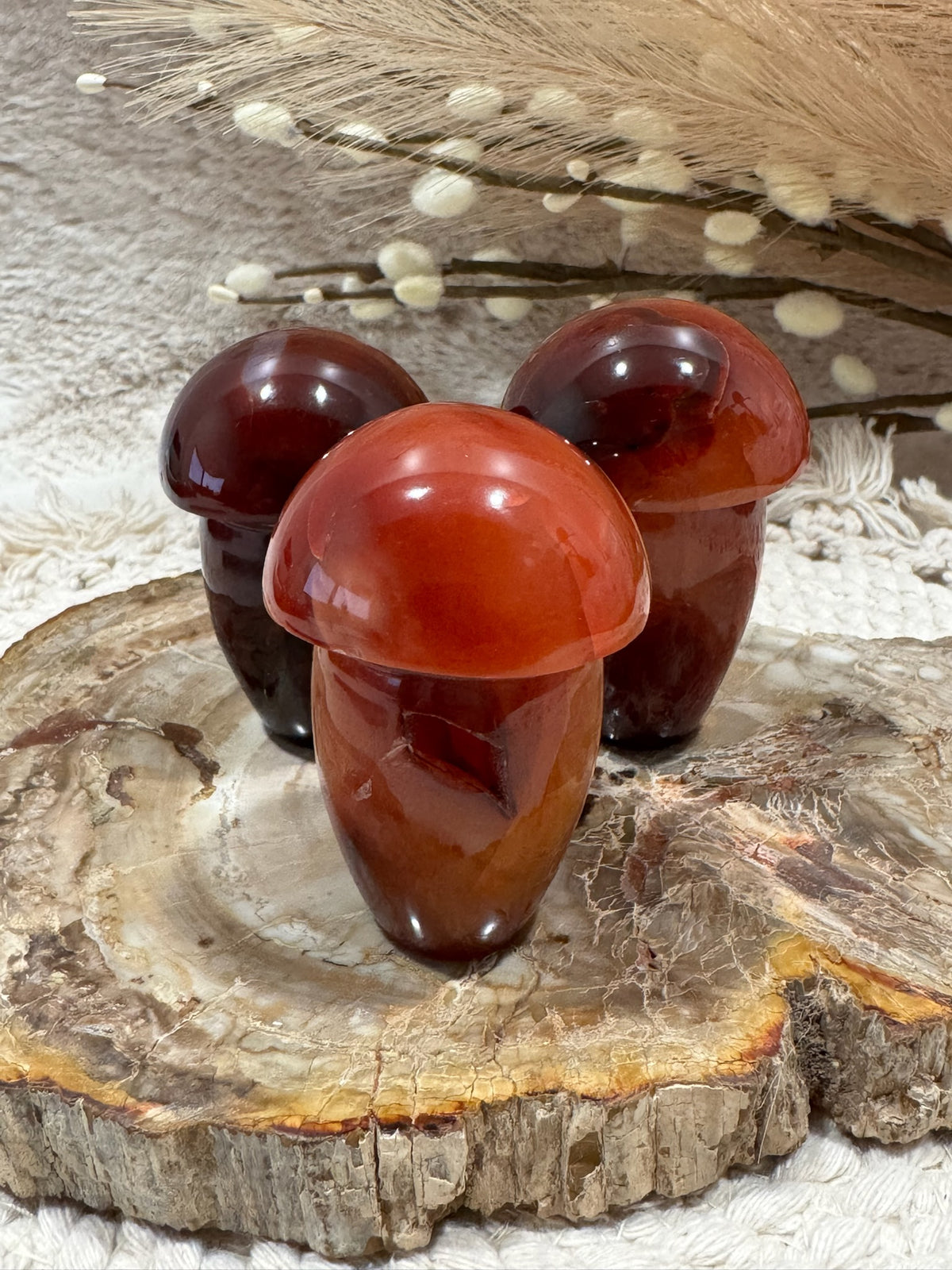 Carnelian Mushroom