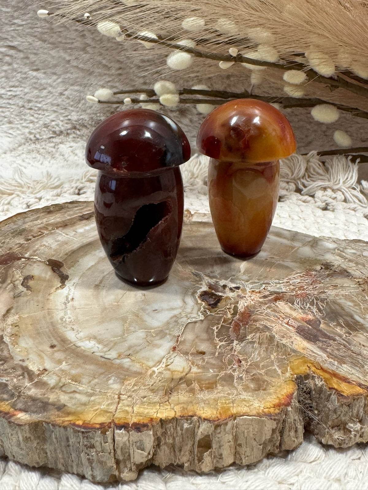 Carnelian Mushroom