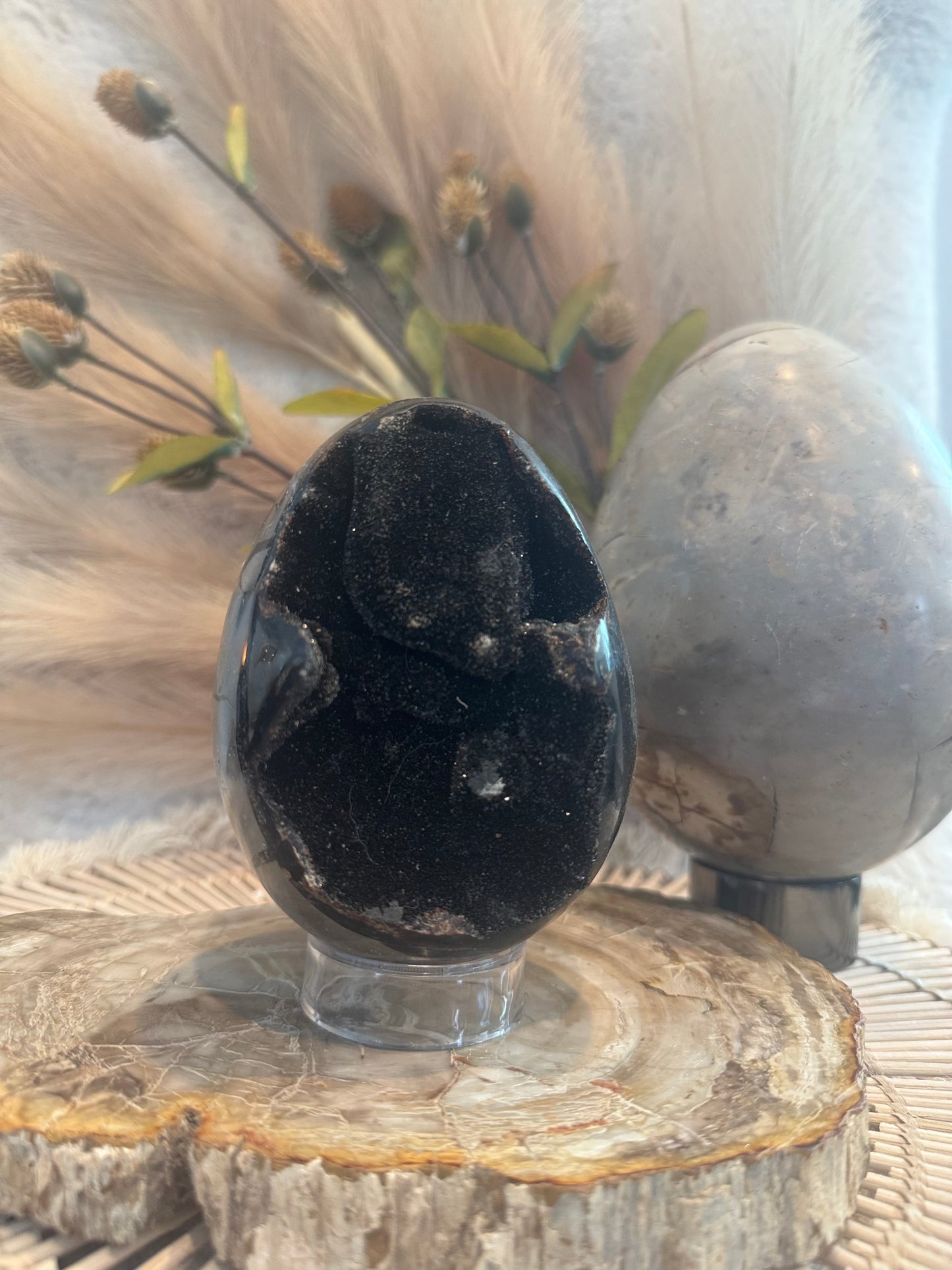 Septarian Egg