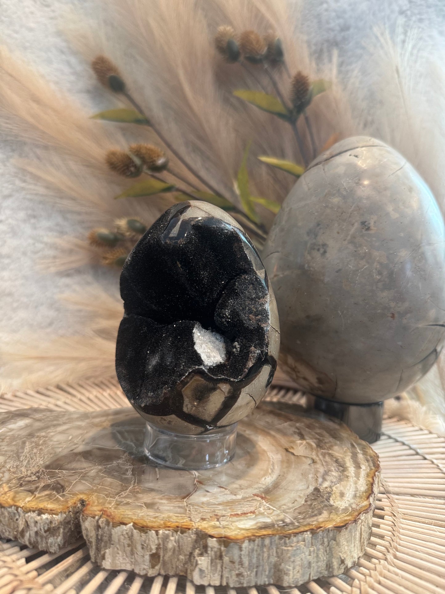 Septarian Egg