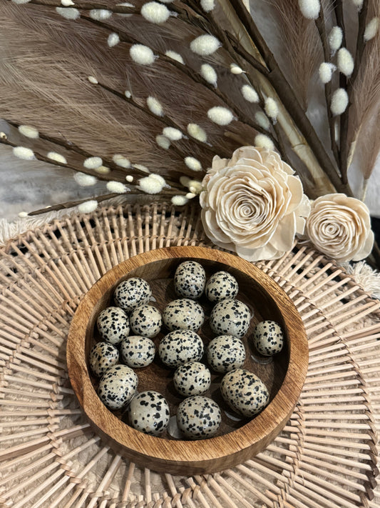 Dalmatian Jasper