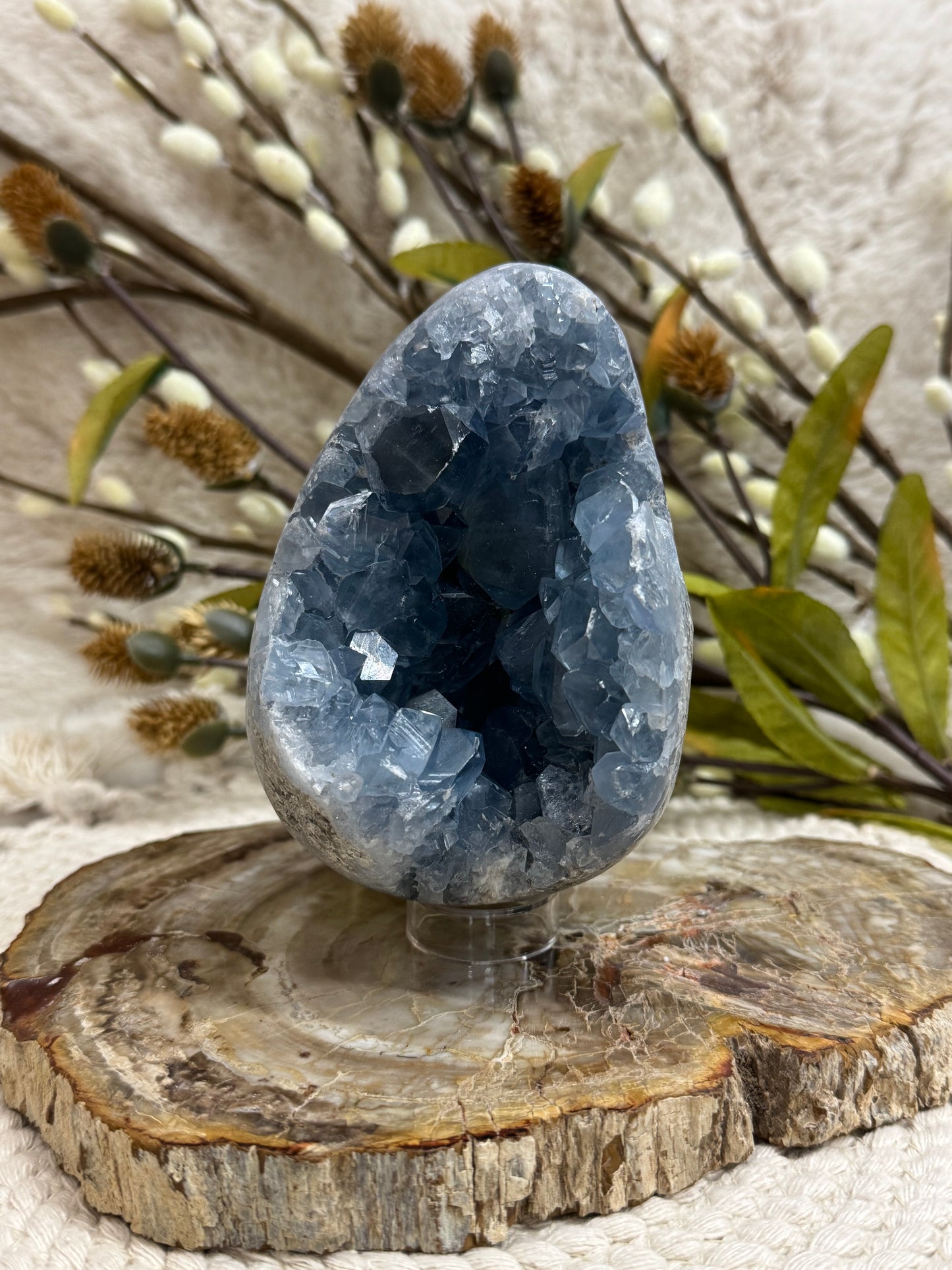 Celestite Druzy Egg