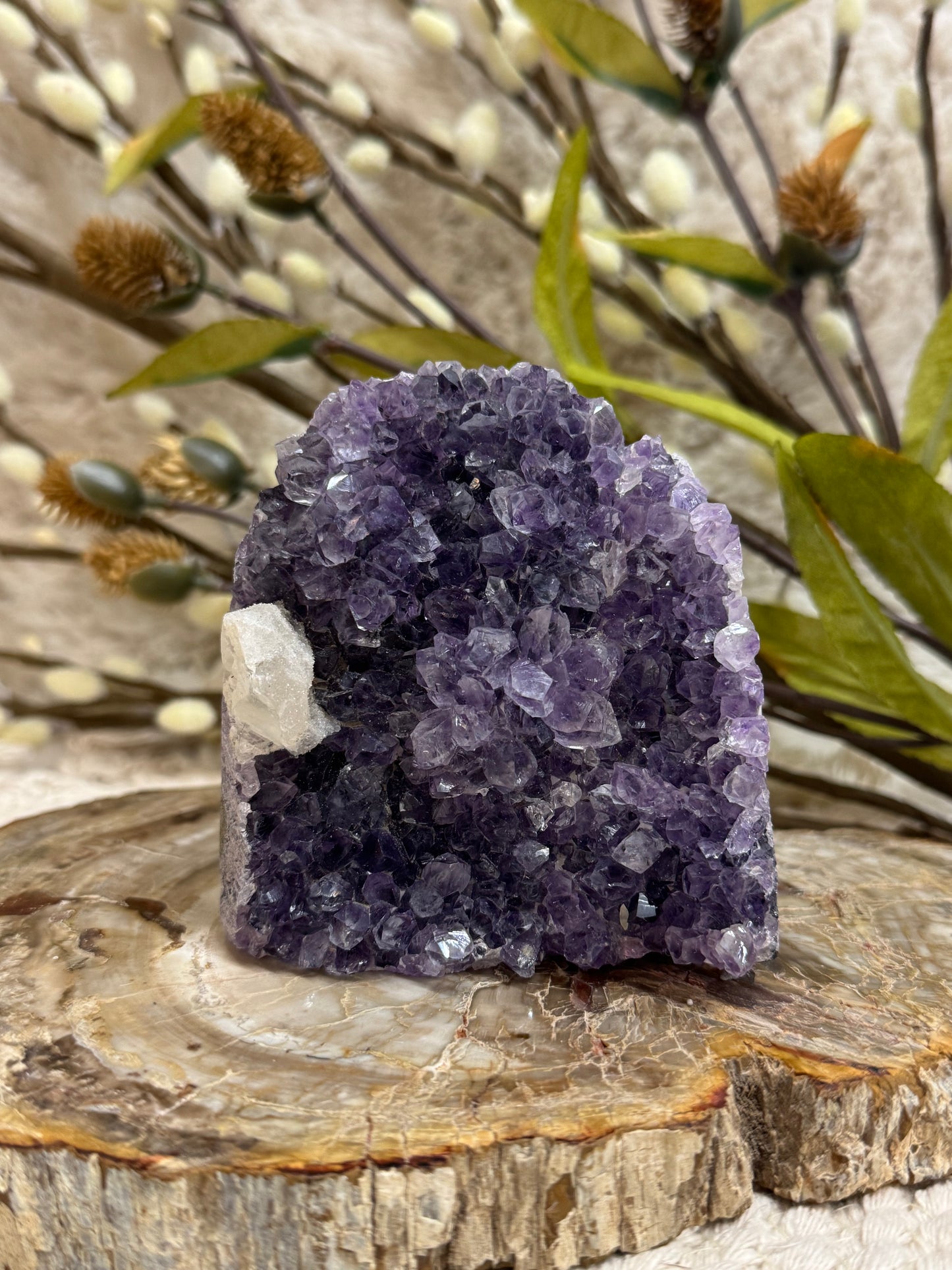 Amethyst Cut Base