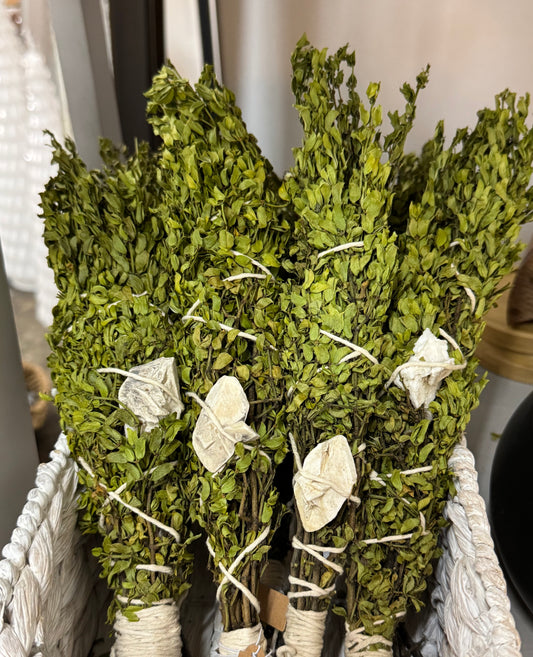 Creosote Bundle and Arizona Pseudomorph Bundle