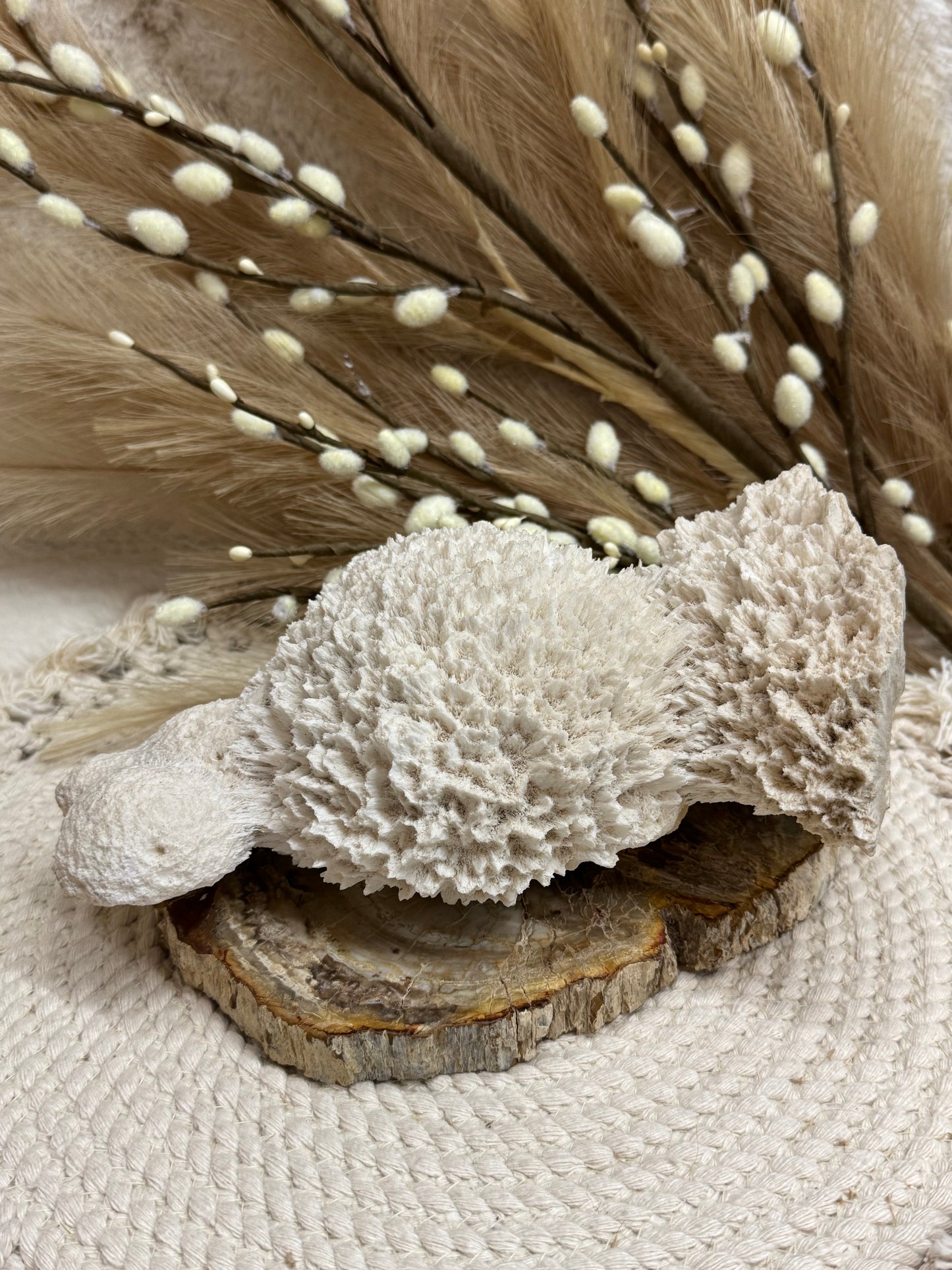 Scolecite Mordenite Balls with Points