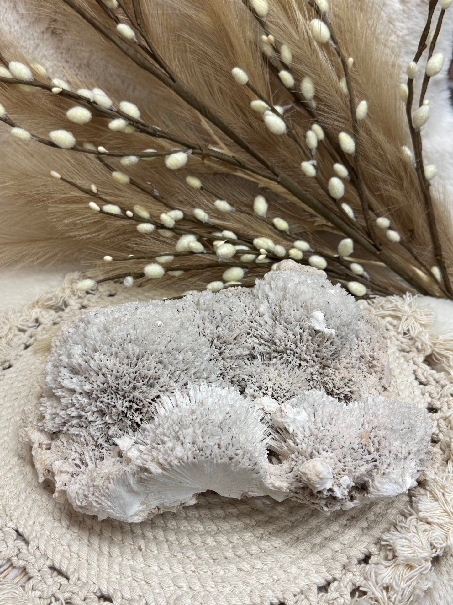 Scolecite Mordenite Balls with Points