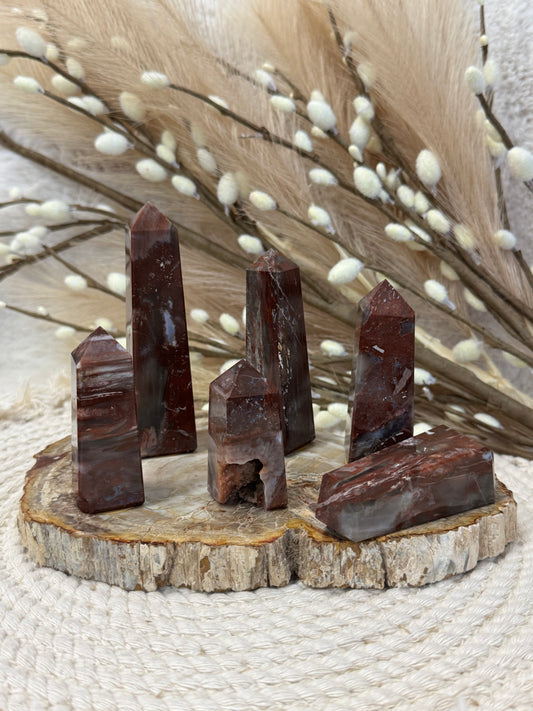 Petrified Wood - Towers