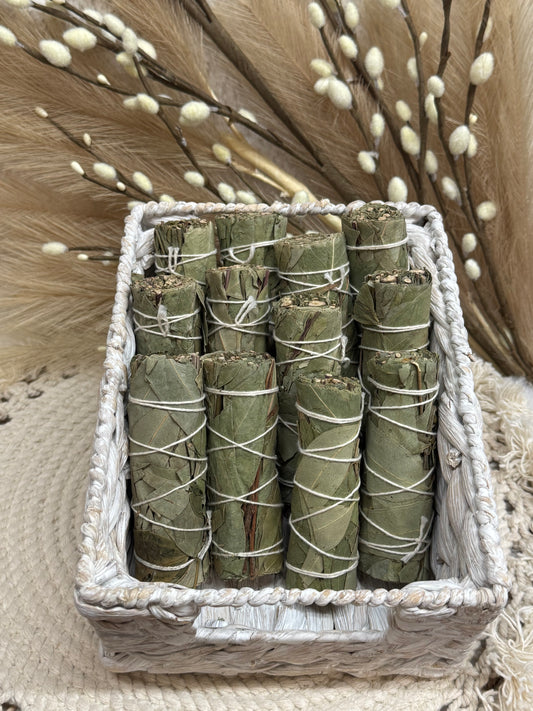 Eucalyptus Sage Smudge Stick