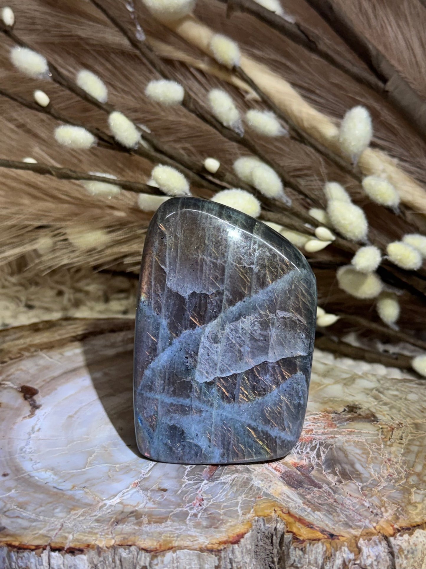 Labradorite - Freeform