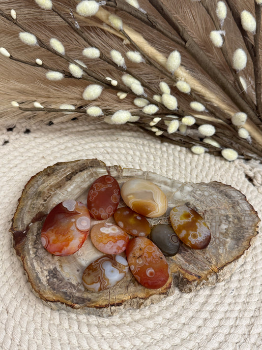 Gobi Agate Small Palm Stones