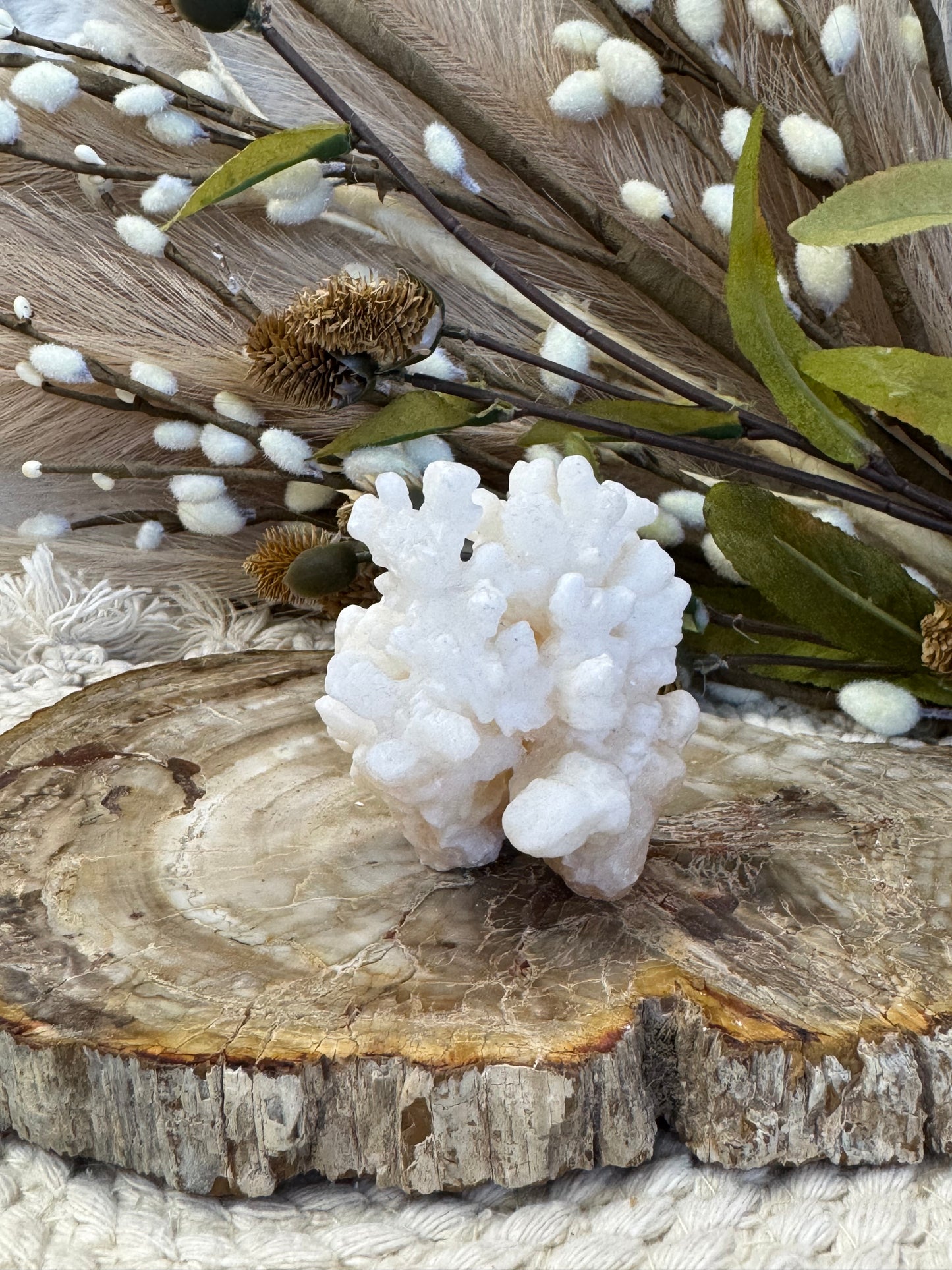Stalactite