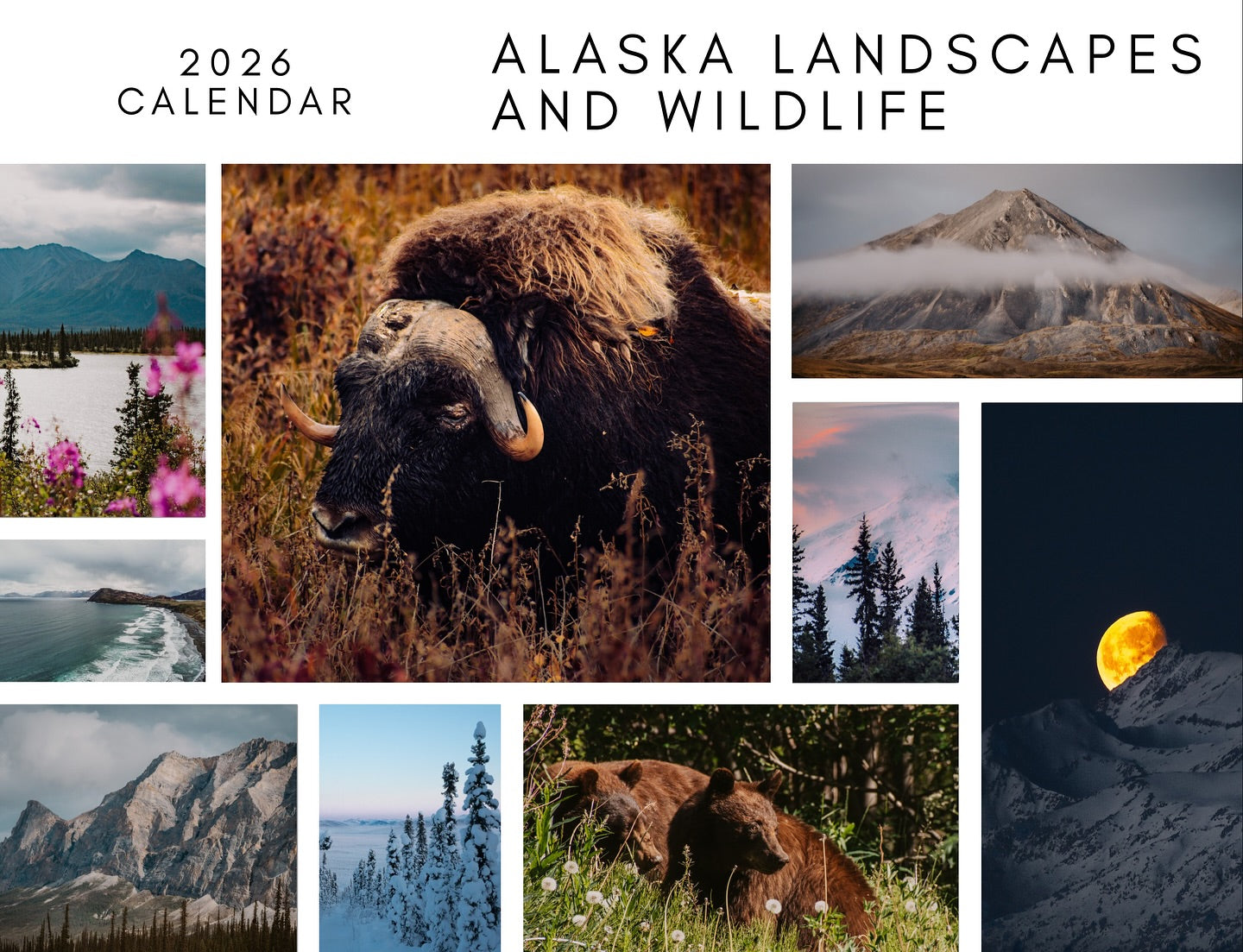 2026 Alaska Wall Calendar by Jillian Blum Photography