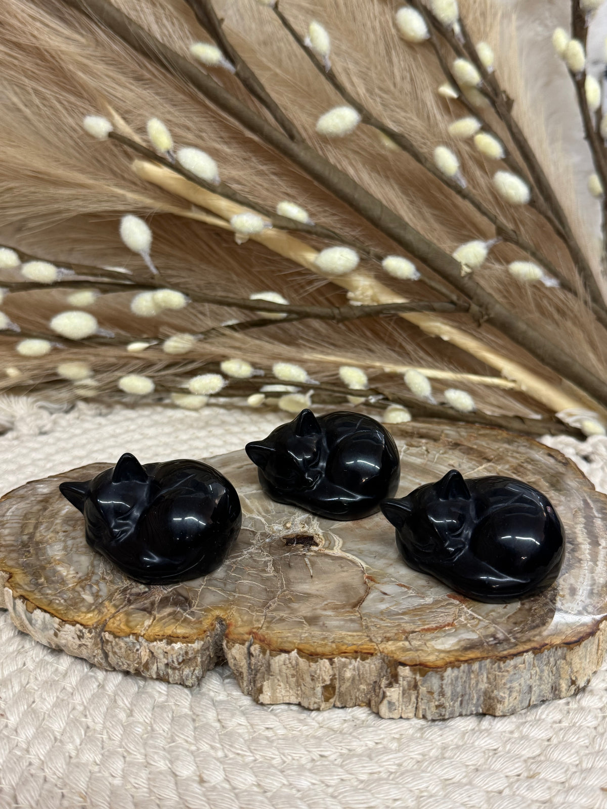 Black Obsidian Sleeping Cats