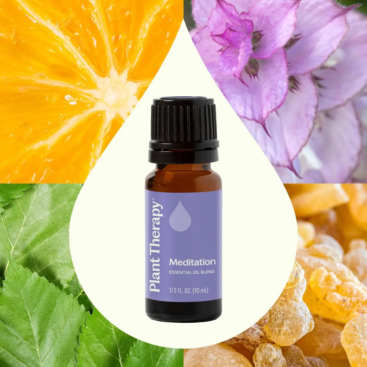 Plant Therapy Essential Oils