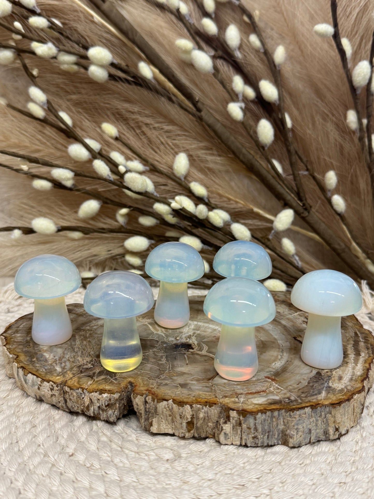 Opalite Mushrooms-Large