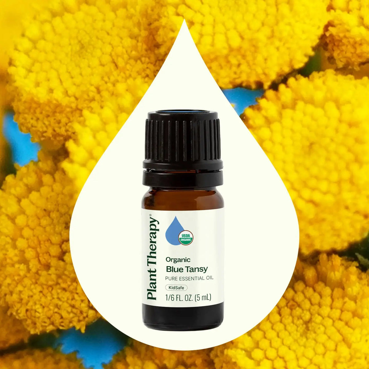 Plant Therapy Essential Oils