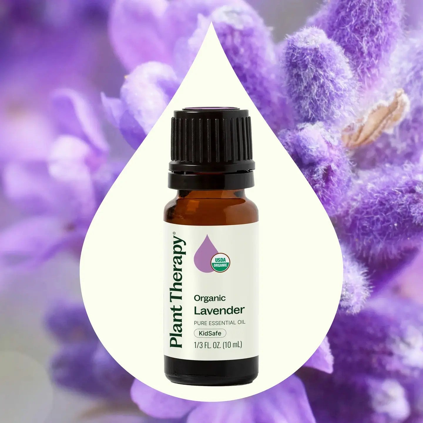 Plant Therapy Essential Oils