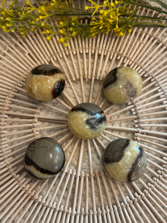 Septarian Palmstone