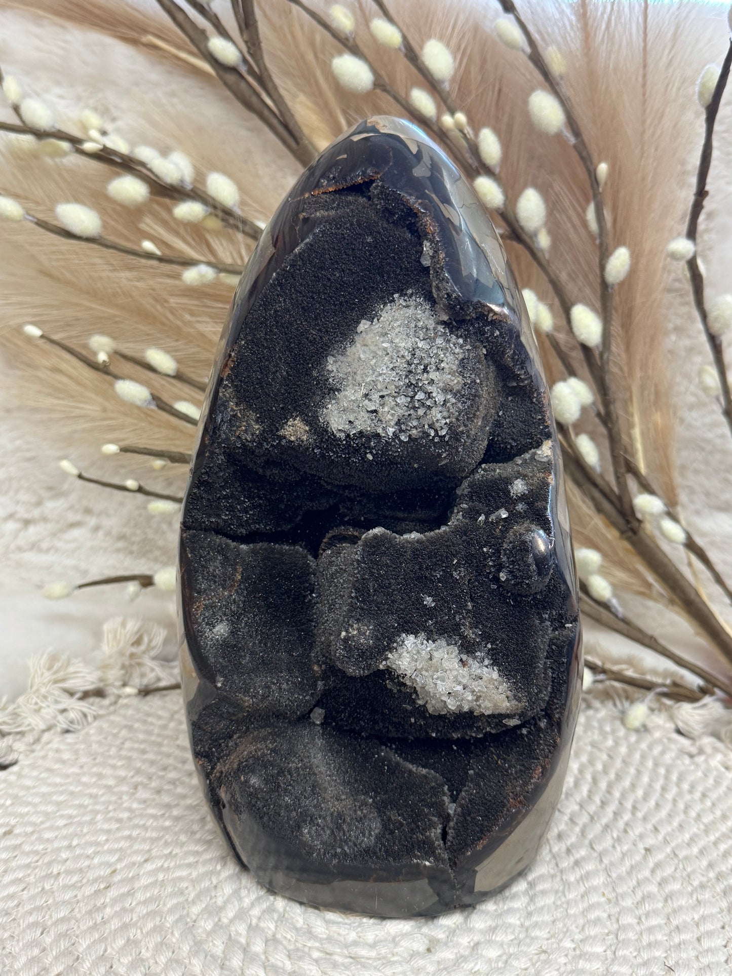 Septarian Egg