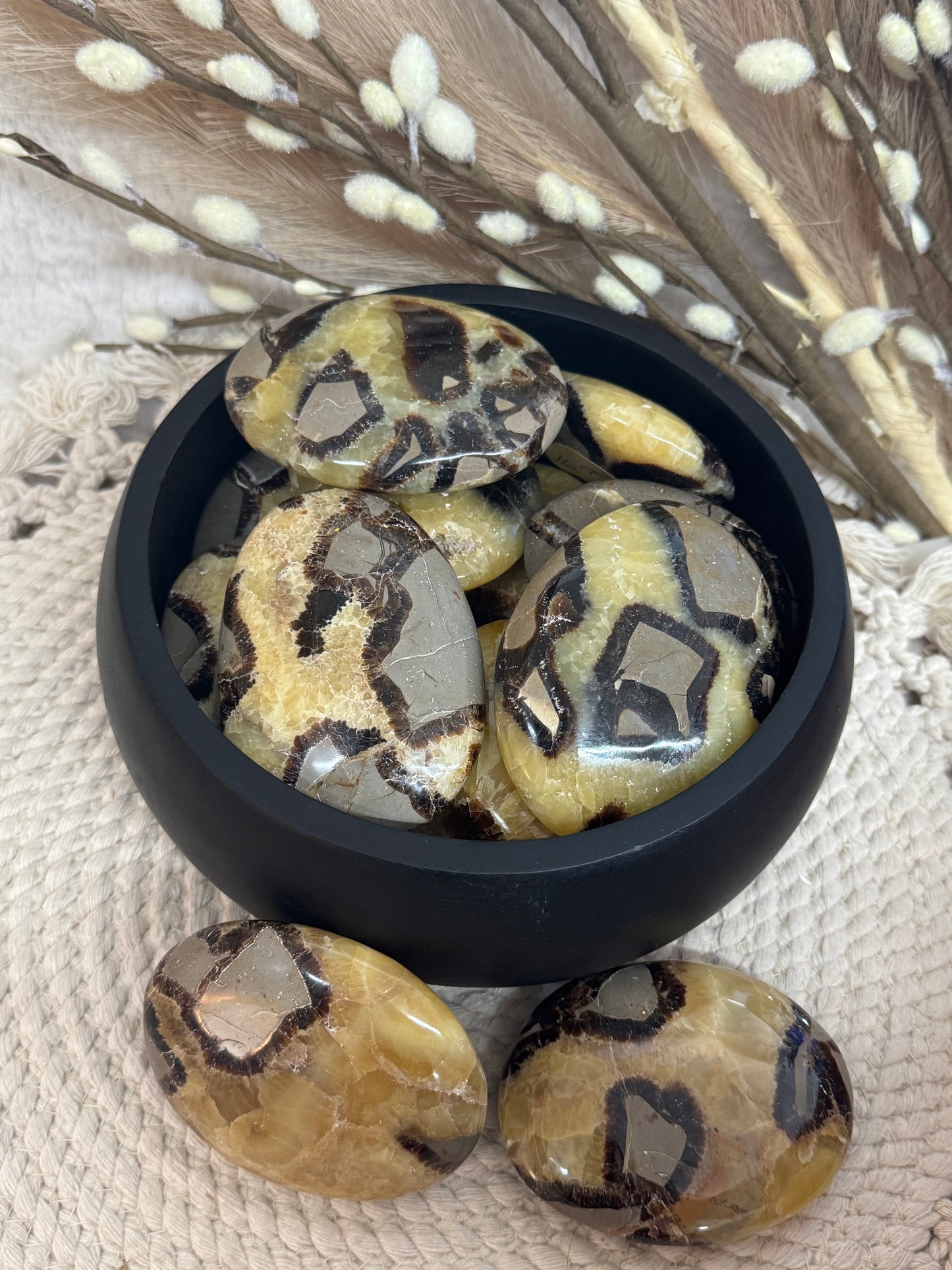Septarian Palmstone